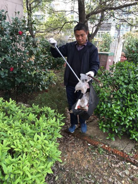 控制鼠害、預防疾病，構建和諧文明社區(qū)